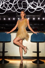 Euphoria Shimmer Fringe Dress